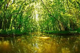 Baltata-natuurreservaat